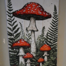 P1950893