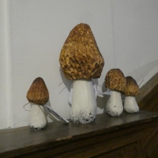 P1950914