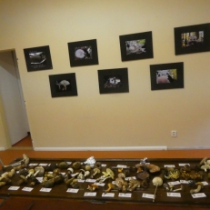 P1950917