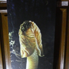 P1950934
