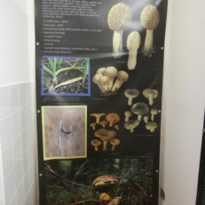 P1950978
