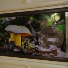 P1950982