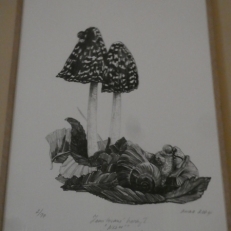 P1950989