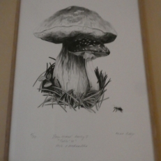 P1950991