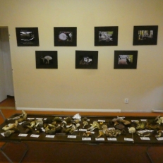 P1960005