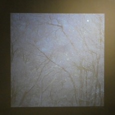 P1940223