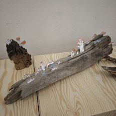 IMG_20260924_205708