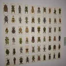 IMG_20260924_205739