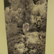P2140195