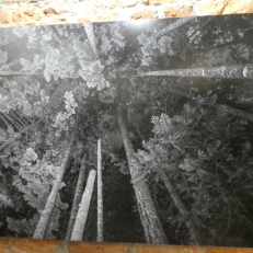 P2140661