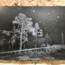 P2140664