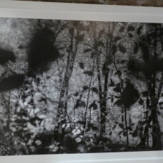 P2140671
