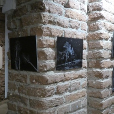 P2140674