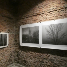 P2140675