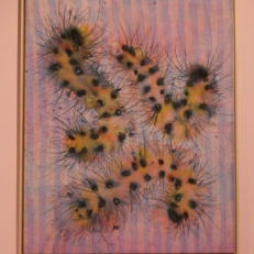 P1050205