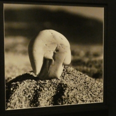 P1900335