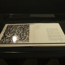 P1900337