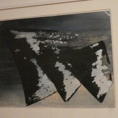 P1900350
