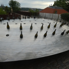 P1720479