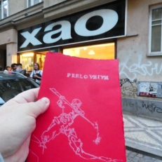 P1930251