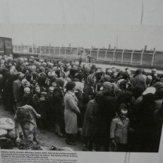 P2070196