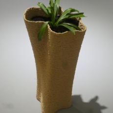 P1870161