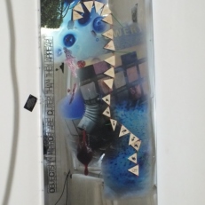 DSCF9910
