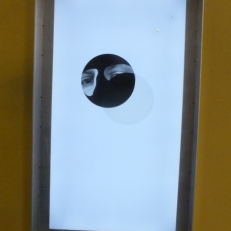 DSCF9916
