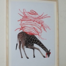 DSCF9929