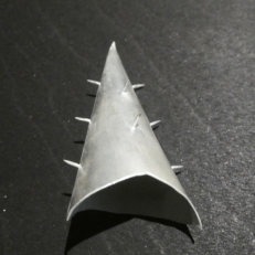 P2090832