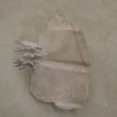 P2090885