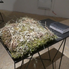 P2100040
