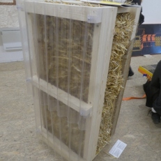 P2100059