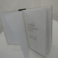 P2060091