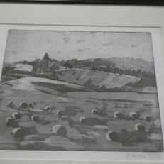 P1950649