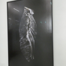 P2120600