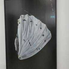 P2120607