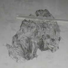 P2120006