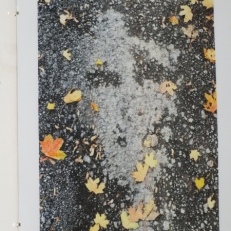 DSCF8924