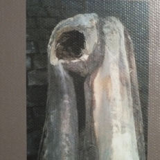 DSCF8951