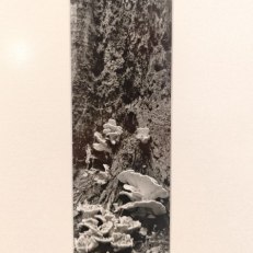 IMG_20250828_175909