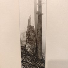 IMG_20250828_180040