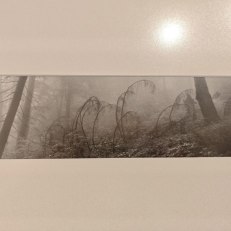 IMG_20250828_180132