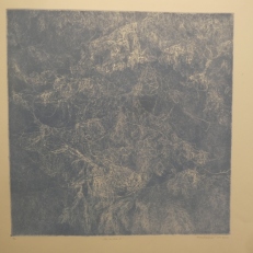 P1940339