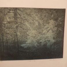 P1940341