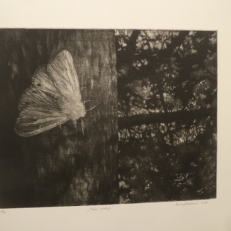 P1940342