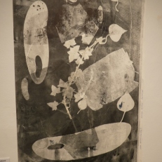 P1940353