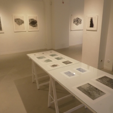P1940366