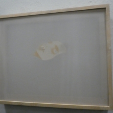 P2050001