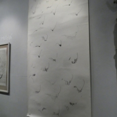 P2050025
